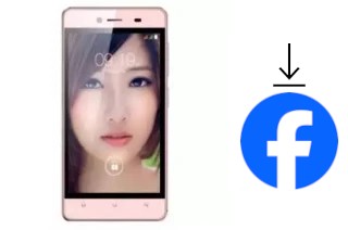 Comment installer Facebook sur un SingTech Sapphire Z450