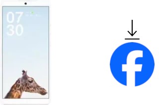 Comment installer Facebook sur un Smartisan Nut Pro 2S