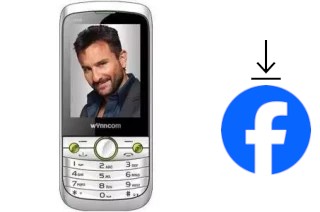 Comment installer Facebook sur un Wynncom W405