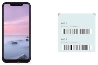 Comment voir le code IMEI dans King Kong 4