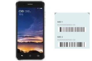 Comment voir le code IMEI dans V51 DT