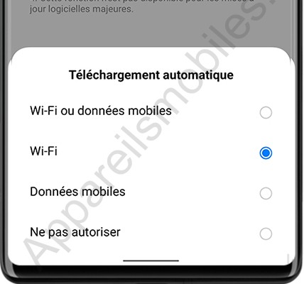 Options de téléchargement automatique de mise à jour sur Rea
