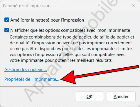 Propriétés de l'imprimante Windows