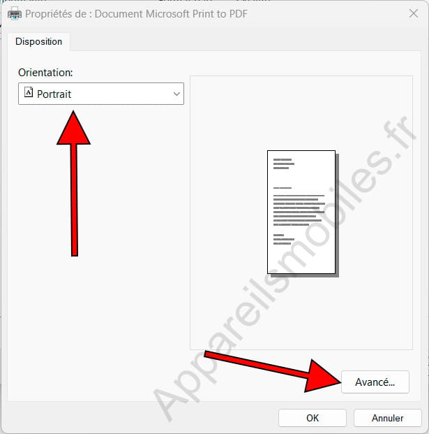 Propriétés du document à imprimer au format PDF