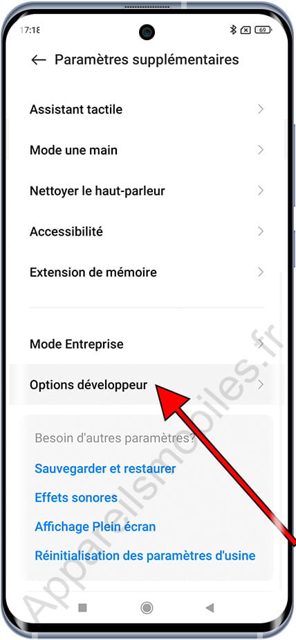 Options développeur