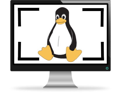 Capture d'écran sous Linux