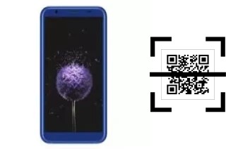 Comment lire les codes QR sur un DEXP Z355 ?