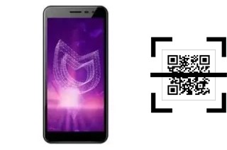 Comment lire les codes QR sur un Irbis SP493 ?