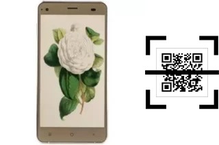 Comment lire les codes QR sur un VC Camellia ?