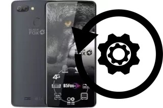 Comment réinitialiser ou reset un Black Fox B5