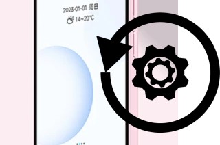 Comment réinitialiser ou reset un Duoqin Qin3