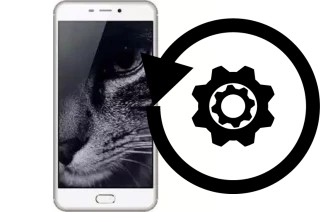 Comment réinitialiser ou reset un Hotwav Cosmos V21