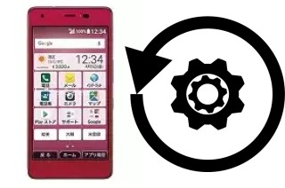 Comment réinitialiser ou reset un Kyocera Otegaru 01