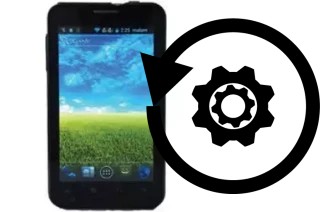 Comment réinitialiser ou reset un Pixcom PGM398