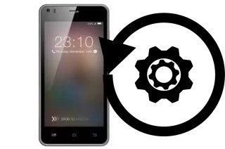 Comment réinitialiser ou reset un Pulsare 786