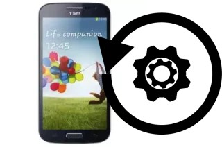 Comment réinitialiser ou reset un TSM T968