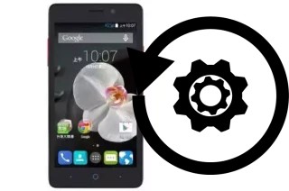 Comment réinitialiser ou reset un TWM Amazing X5