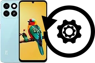 Comment réinitialiser ou reset un ZTE Blade A55