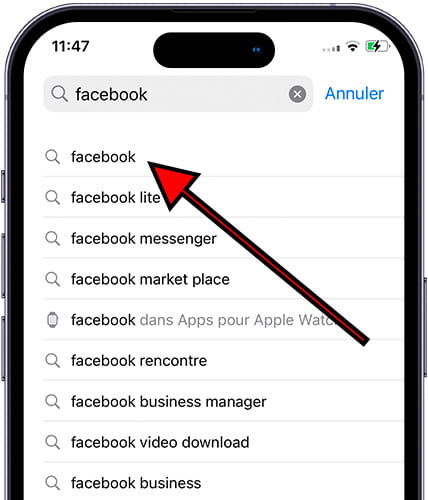Rechercher Facebook sur App Store