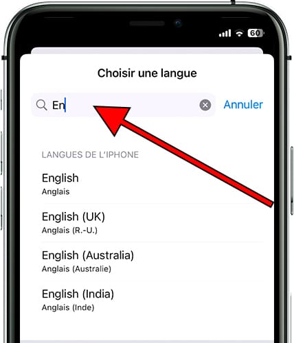 Buscar idioma iOS