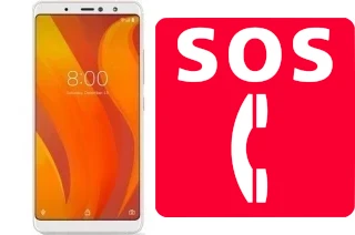 Appels d'urgence sur VSmart ACTIVE 1