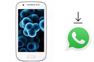 Comment installer WhatsApp dans un Gaba Fortune9