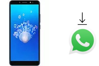 Comment installer WhatsApp dans un Haier Hurricane