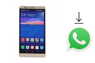 Comment installer WhatsApp dans un Hotwav Venus X1