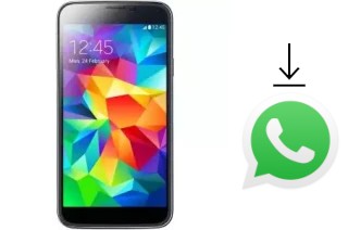 Comment installer WhatsApp dans un Lvtel LvTel V11