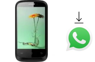 Comment installer WhatsApp dans un Maximus max11