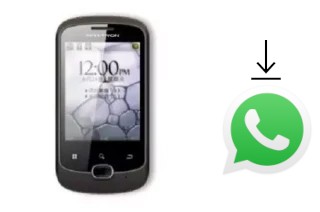 Comment installer WhatsApp dans un Maxtron MG-251