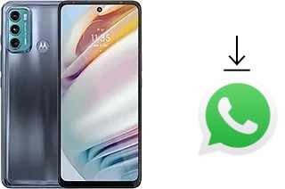 Comment installer WhatsApp dans un Motorola Moto G40 Fusion