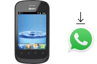 Comment installer WhatsApp dans un NGM Action