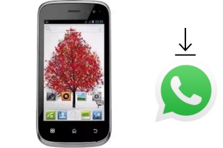Comment installer WhatsApp dans un NGM Miracle