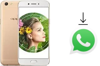 Comment installer WhatsApp dans un Oppo A77
