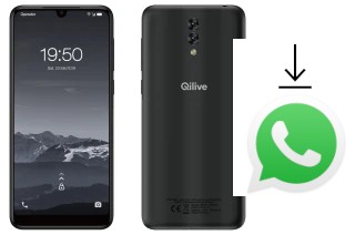 Comment installer WhatsApp dans un Qilive Q3