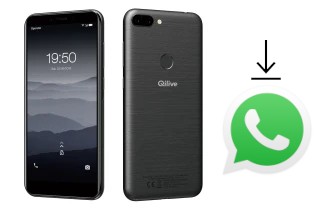 Comment installer WhatsApp dans un Qilive Q5