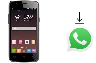 Comment installer WhatsApp dans un QMobile Noir i7