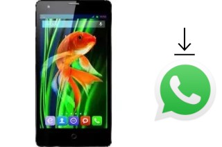 Comment installer WhatsApp dans un QSmart MB5011