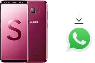 Comment installer WhatsApp dans un Samsung Galaxy S Light Luxury