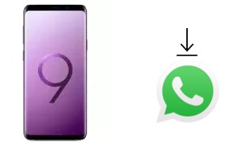 Comment installer WhatsApp dans un Samsung Galaxy S9+ Exynos
