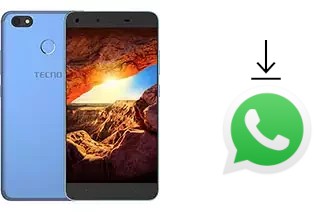Comment installer WhatsApp dans un Tecno Spark