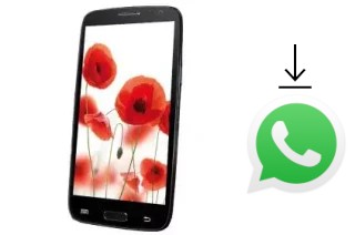 Comment installer WhatsApp dans un TELEFUNKEN TF-SP5002