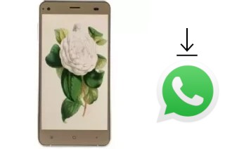 Comment installer WhatsApp dans un VC Camellia II