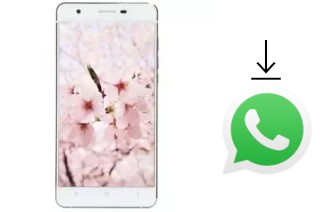 Comment installer WhatsApp dans un VC Sakura