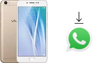 Comment installer WhatsApp dans un vivo V5