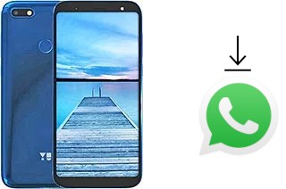 Comment installer WhatsApp dans un YU Ace